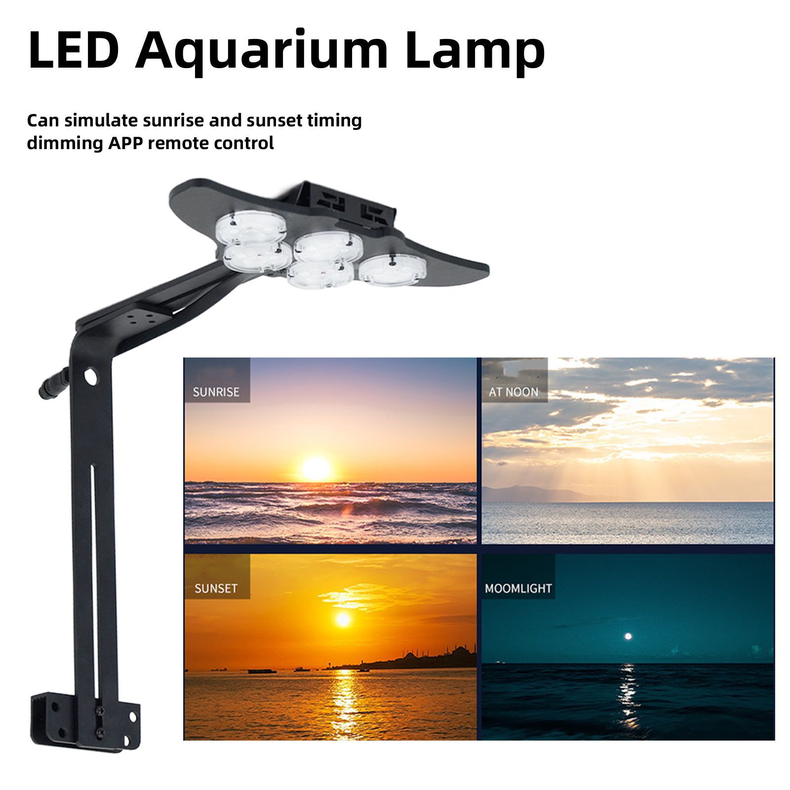 LED Marine Aquarium Coral Aqua - Marine Aquarium & Regional Centre Reviews 리뷰 및 가격