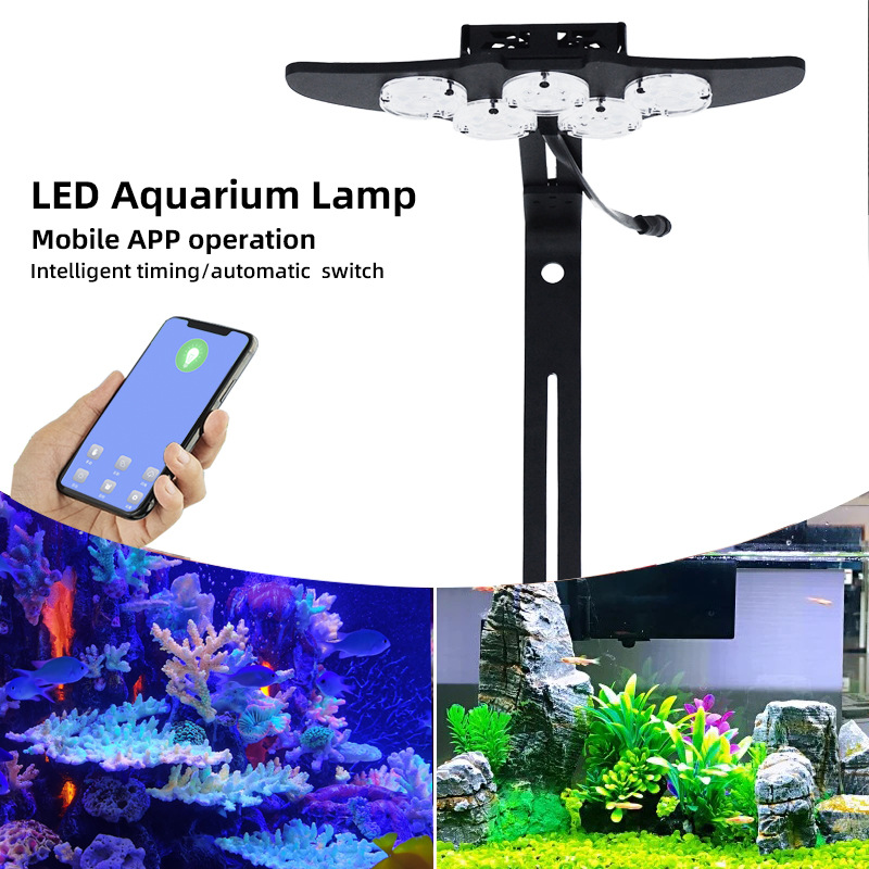 LED Marine Aquarium Coral Aqua - Marine Aquarium & Regional Centre Reviews 리뷰 및 가격