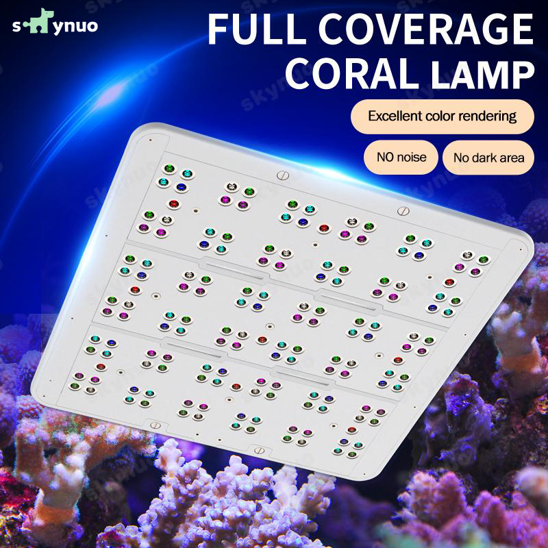 Hot KASSRAY T169/T215 CREEs LE - Marine Aquarium & Regional Centre Reviews 리뷰 및 가격