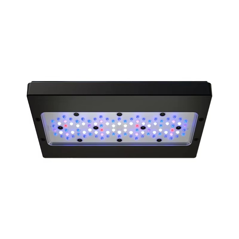 A8 Pro Blue 215W AC 110-240V W - Marine Aquarium Led 리뷰 및 가격