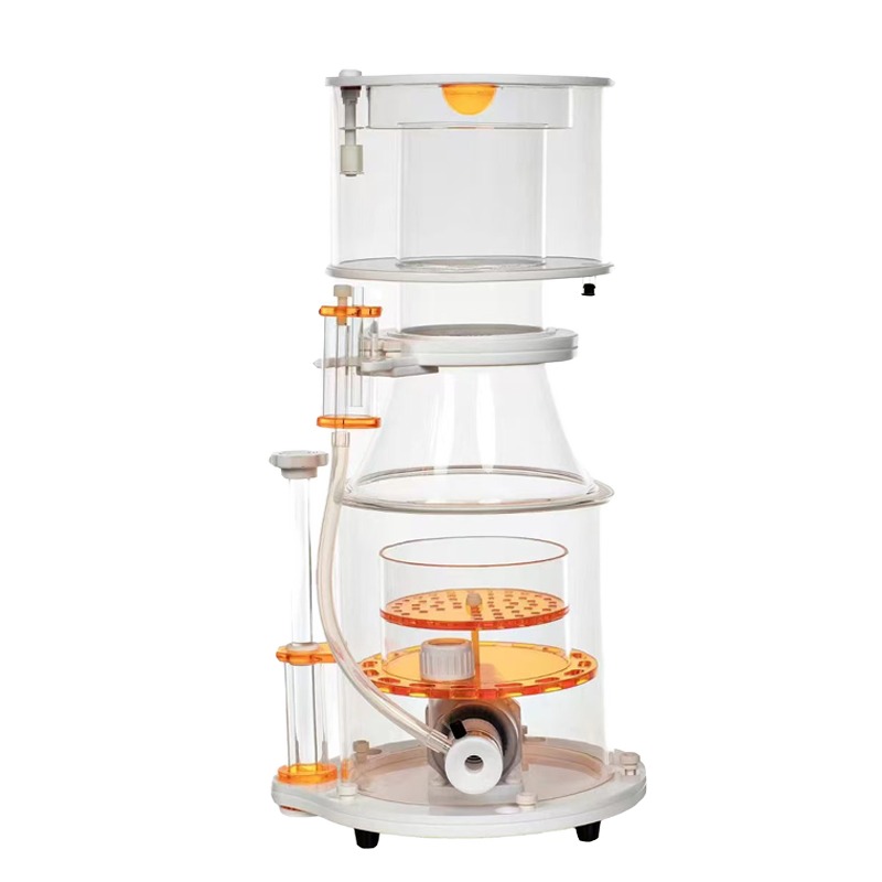 【Best-selling】DC Powered Preci - Marine Aquarium & Regional Centre Reviews 리뷰 및 가격