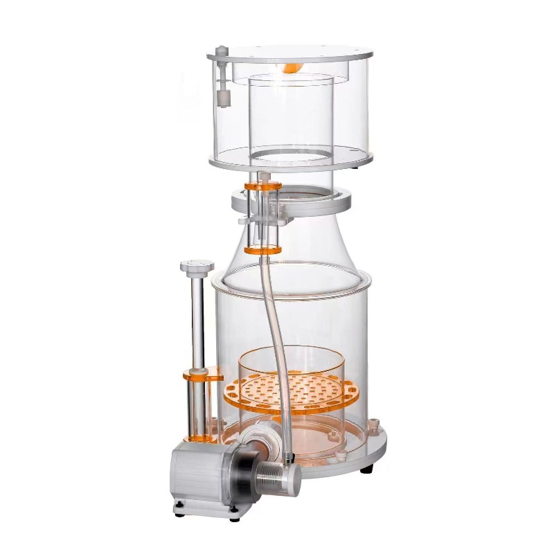 【Best-selling】DC Powered Preci - Marine Aquarium & Regional Centre Reviews 리뷰 및 가격