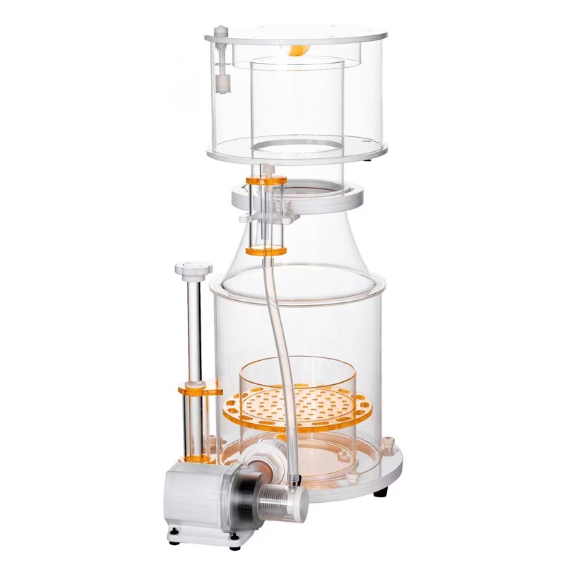 【Best-selling】DC Powered Preci - Marine Aquarium & Regional Centre Reviews 리뷰 및 가격