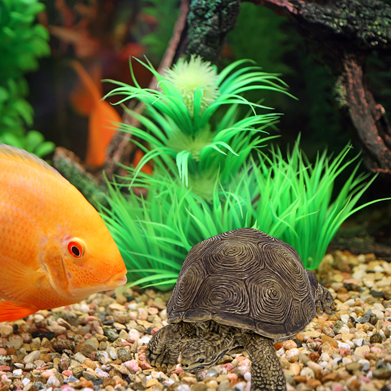 2Pcs Realistic Turtle Sculptur - Marine Aquarium Home 리뷰 및 가격