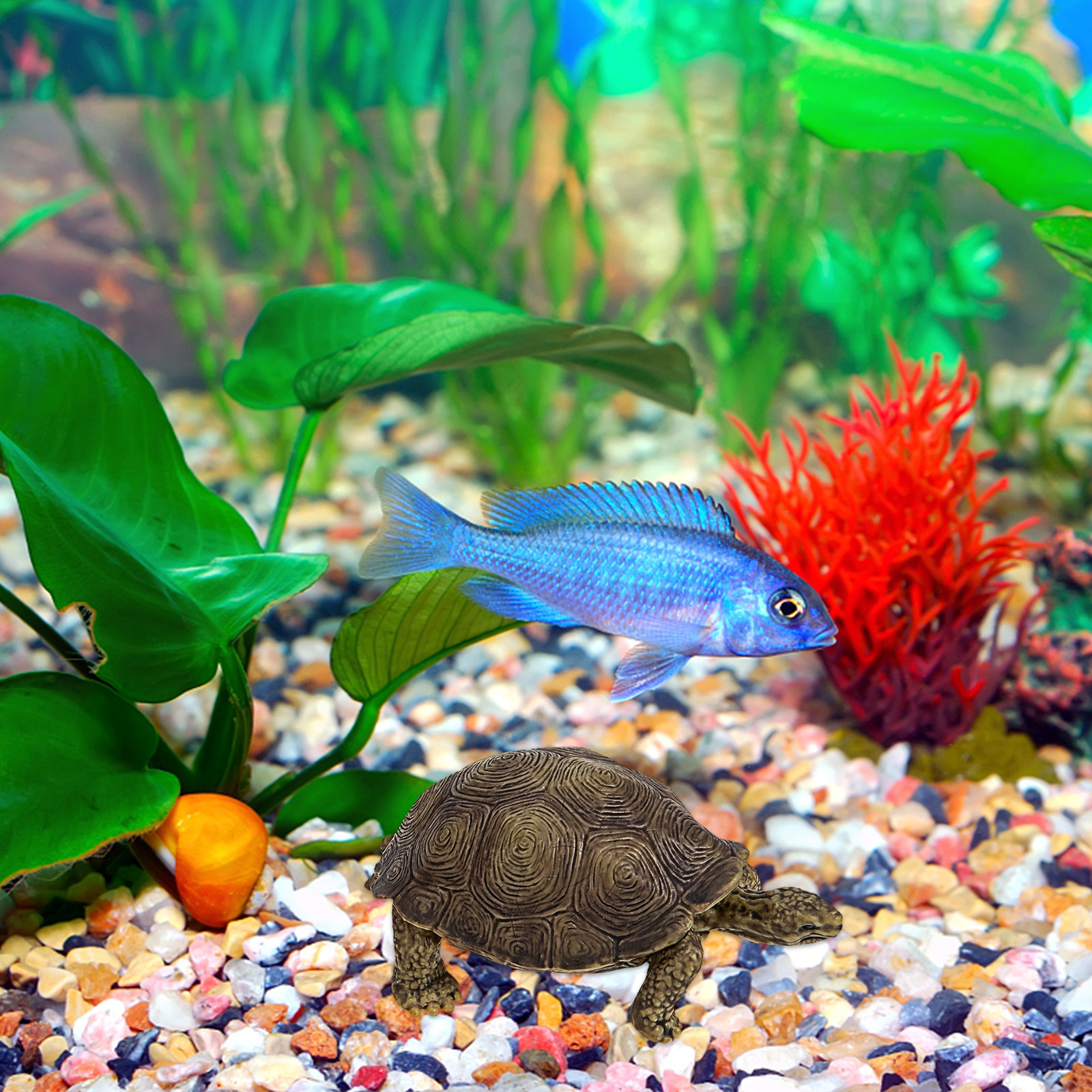 2Pcs Realistic Turtle Sculptur - Marine Aquarium Home 리뷰 및 가격