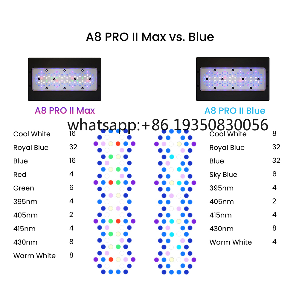 2026-A8 PRO II Max and Blue 24 - Marine Aquarium & Regional Centre Reviews 리뷰 및 가격
