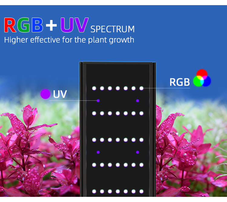 WEEK AQUA L Series APP Control - Marine Aquarium Led 리뷰 및 가격