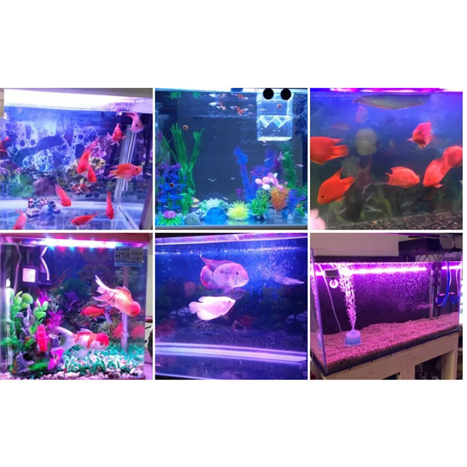 50W 60W 70W 100W RGB 26-28V Hi - Marine Aquarium Uv 리뷰 및 가격