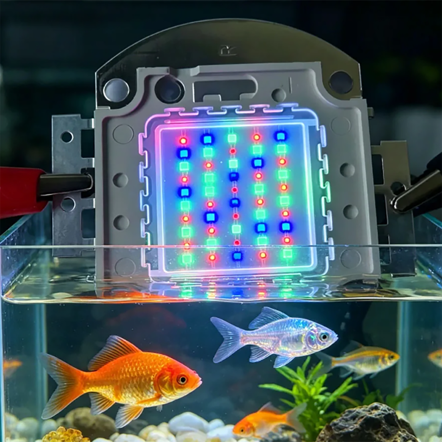 50W 60W 70W 100W RGB 26-28V Hi - Marine Aquarium Uv 리뷰 및 가격