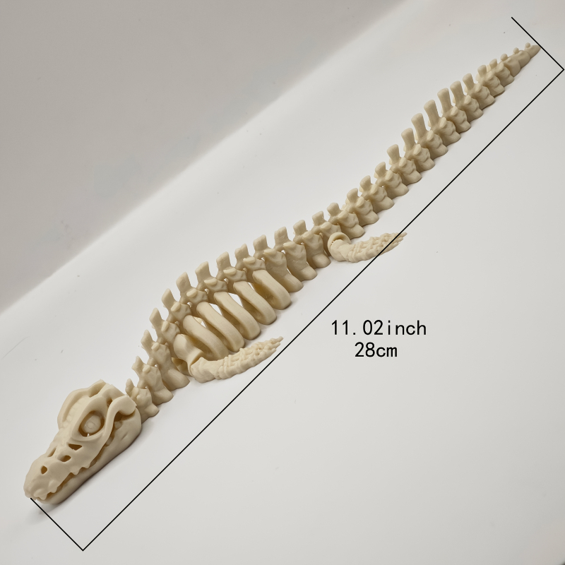 1pcs Dinosaur Skeleton Model F - Marine Aquarium Home 리뷰 및 가격