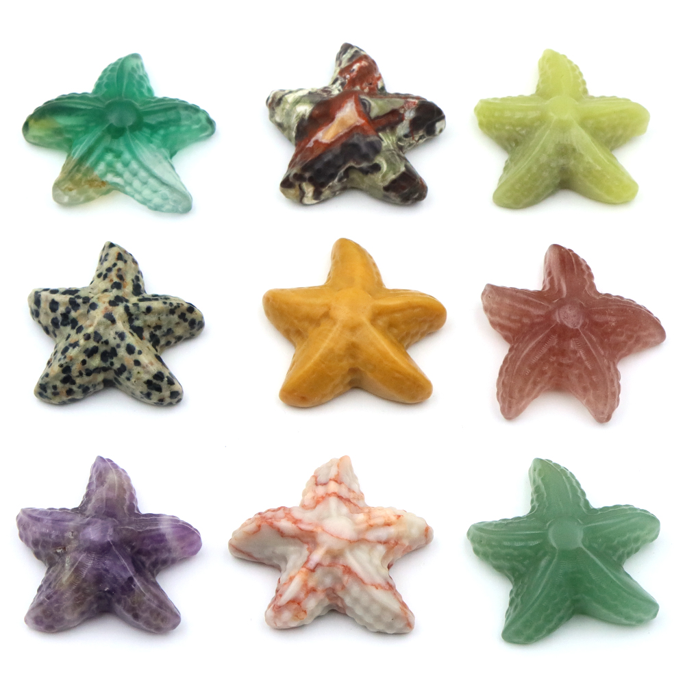 35mm Starfish Shape Statue Mar - Marine Aquarium & Regional Centre Reviews 리뷰 및 가격