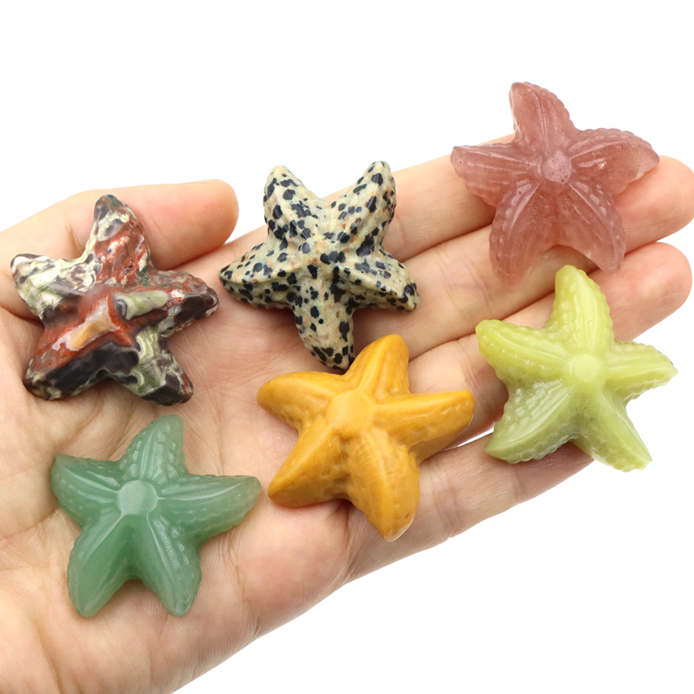 35mm Starfish Shape Statue Mar - Marine Aquarium & Regional Centre Reviews 리뷰 및 가격