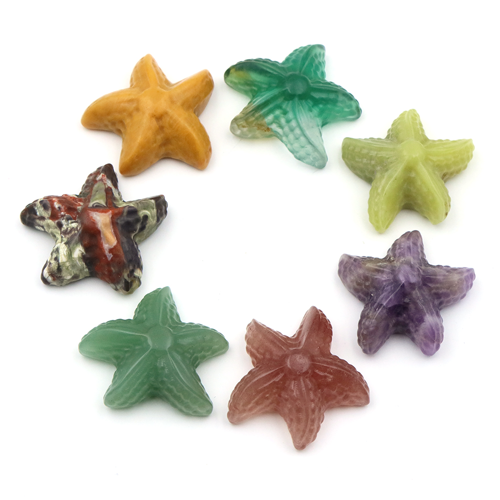 35mm Starfish Shape Statue Mar - Marine Aquarium & Regional Centre Reviews 리뷰 및 가격