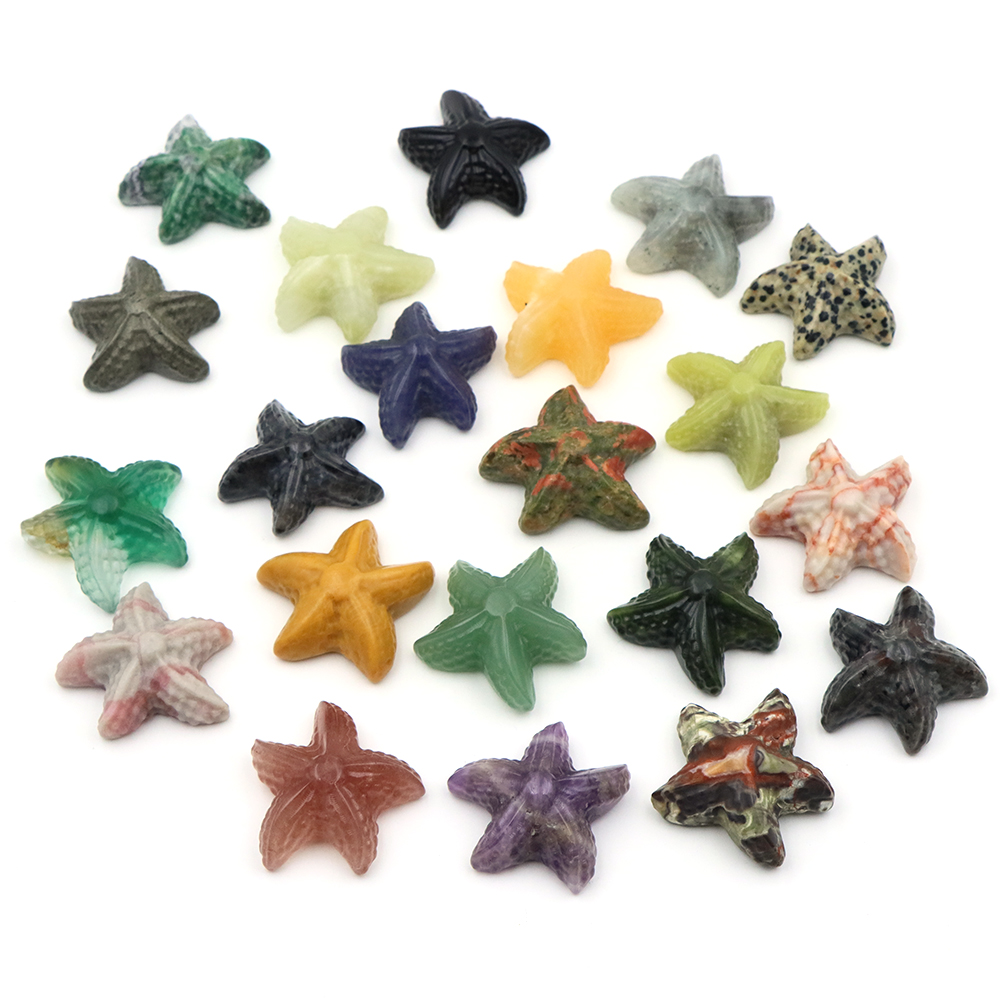 35mm Starfish Shape Statue Mar - Marine Aquarium & Regional Centre Reviews 리뷰 및 가격