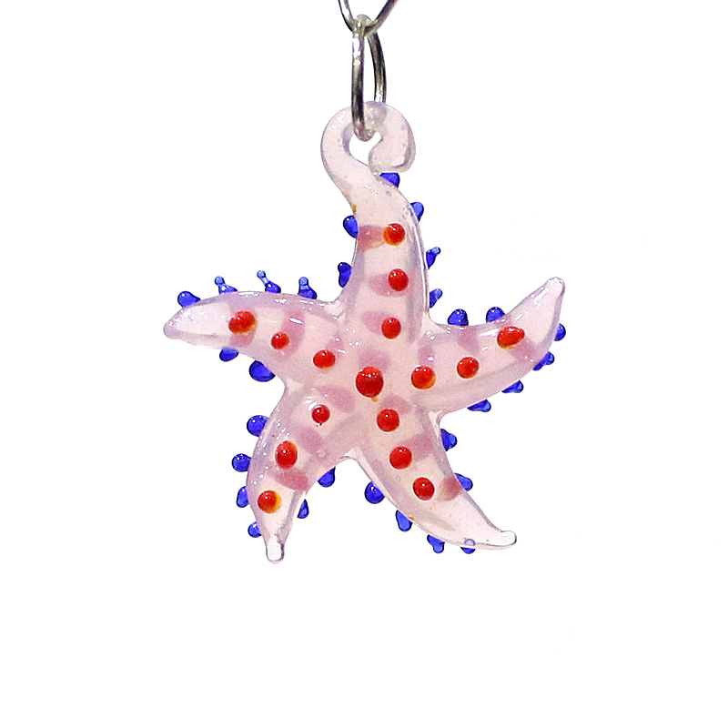 Cute Marine Animal Starfish Ch - Marine Aquarium & Regional Centre Reviews 리뷰 및 가격