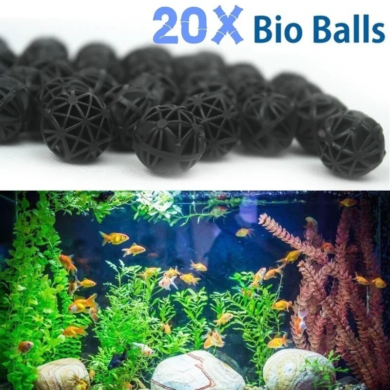 20Pcs 16mm Aquarium Filter Bio - Marine Aquarium & Regional Centre Reviews 리뷰 및 가격