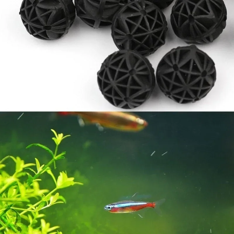 20Pcs 16mm Aquarium Filter Bio - Marine Aquarium & Regional Centre Reviews 리뷰 및 가격