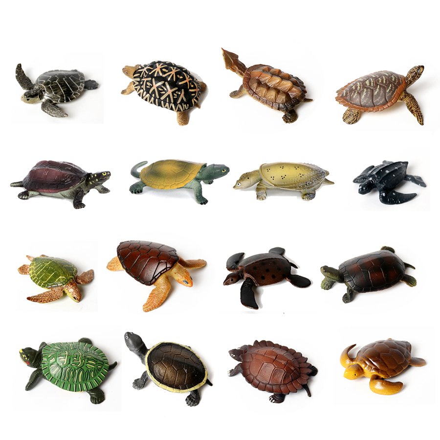 Realistic Miniatures Marine Li - Marine Aquarium & Regional Centre Reviews 리뷰 및 가격