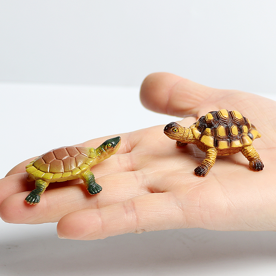 Realistic Miniatures Marine Li - Marine Aquarium & Regional Centre Reviews 리뷰 및 가격