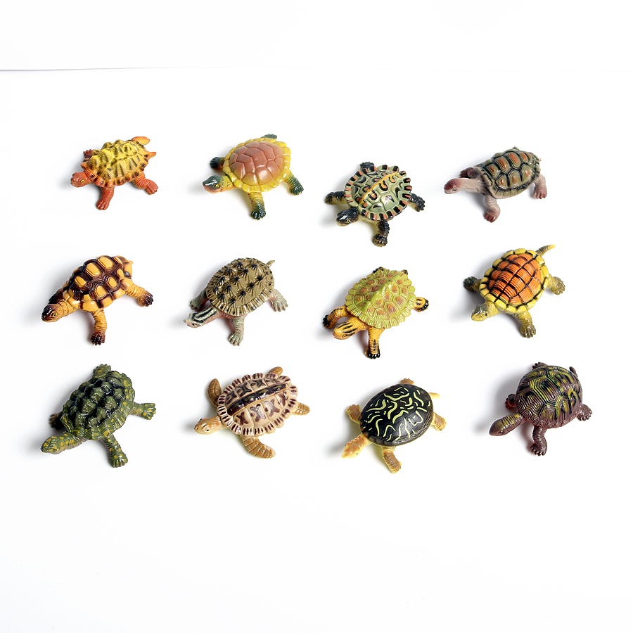 Realistic Miniatures Marine Li - Marine Aquarium & Regional Centre Reviews 리뷰 및 가격